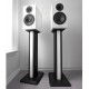 Акустические системы Acoustic Energy AE 300